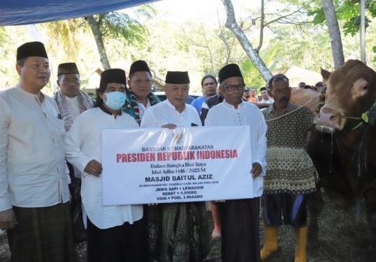 Sapi Limousin 1 Ton Prabowo Diserahkan Bupati Malang di Donomulyo