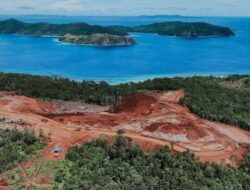 Ternyata Ini Pihak yang Beri Izin Tambang Nikel di Raja Ampat