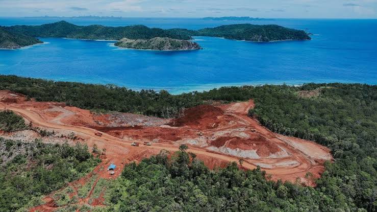 Ternyata Ini Pihak yang Beri Izin Tambang Nikel di Raja Ampat