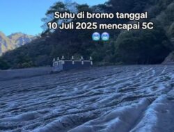 Embun Upas Bromo: Racun Indah di Puncak Musim Kemarau
