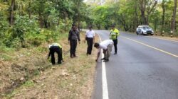 Sekeluarga Ditabrak Pikap di Pantura, Dua Balita Meninggal