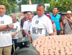 Rengginang Situbondo: Dari Dapur Desa, Menatap Panggung Ekspor Dunia
