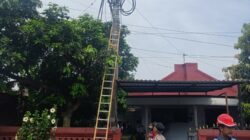 Ganti Kabel PLN di Malang, Pekerja Tersengat Listrik