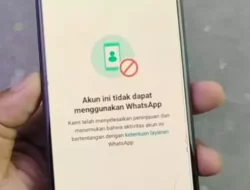 Perang Senyap WhatsApp: 6,8 Juta Akun Lenyap dari Asia