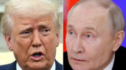 KTT Alaska: Pertaruhan Akhir Trump Hadapi Putin di Ujung Dunia