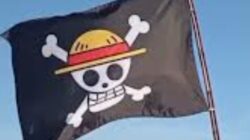Wamendagri Tanggapi Ramainya Bendera One Piece Jelang 17 Agustus