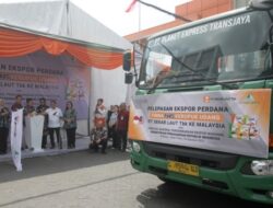 Dari Tambak Sidoarjo ke Meja Makan Dunia: Kisah Gurih Kerupuk Udang Tembus Pasar Malaysia Senilai Rp960 Miliar