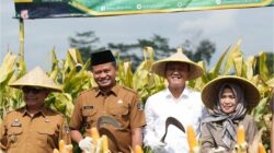 DPRD Kabupaten Blitar Dorong Panen Raya Jadi Fondasi Swasembada Pangan 2025