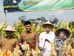 DPRD Kabupaten Blitar Dorong Panen Raya Jadi Fondasi Swasembada Pangan 2025