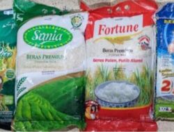 Stok Melimpah, Mengapa Beras di Ritel Masih Langka? Ini Kata Bapanas
