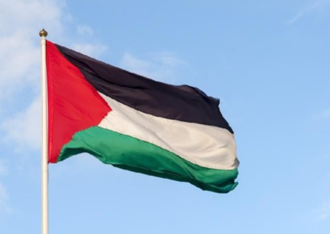 10 Negara Ini Tolak Palestina Merdeka, 12 Abstain