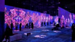 Hujan Tak Halangi Ceria: 5 Destinasi Wisata Indoor Teratas di Malang Raya Hujan Tak Halangi Ceria: 5 Destinasi Wisata Indoor Teratas di Malang Raya