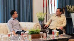 Setahun Pemerintahan Prabowo-Gibran,