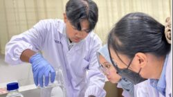 Mahasiswa FK UM Teliti Potensi Nanoemulsi Daun Kemuning sebagai Antioksidan Aman pada Model Larva Zebrafish Mahasiswa FK UM Teliti Potensi Nanoemulsi Daun Kemuning sebagai Antioksidan Aman pada Model Larva Zebrafish