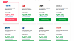 Mulai Website Profesional dengan Domain dan Hosting Andal