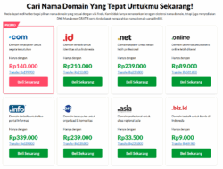 Mulai Website Profesional dengan Domain dan Hosting Andal