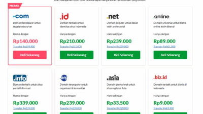 Mulai Website Profesional dengan Domain dan Hosting Andal