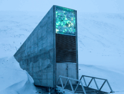 Brankas Kiamat Svalbard: Penjaga Kehidupan di Perut Gunung Es Norwegia