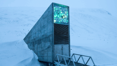 Brankas Kiamat Svalbard: Penjaga Kehidupan di Perut Gunung Es Norwegia