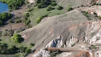 Petaka Merkuri di Gerbang Komodo: KPK Endus Tambang Emas Ilegal Sebayur