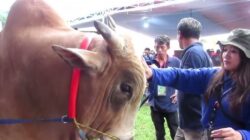 Deretan Event Nasional di Jember Siap Digelar, Minim Pakai APBD