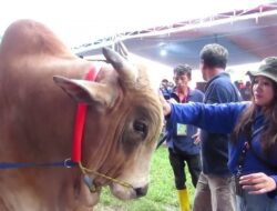 Deretan Event Nasional di Jember Siap Digelar, Minim Pakai APBD