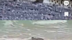 Setelah Watu Leter, Giliran Pantai Pasir Panjang Diterpa Isu Penampakan Buaya