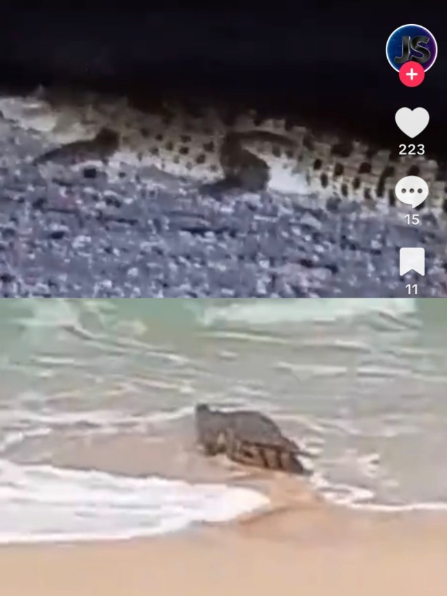 Setelah Watu Leter, Giliran Pantai Pasir Panjang Diterpa Isu Penampakan Buaya