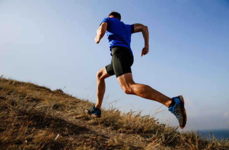 Ajang Lari Gunung Lawu Berujung Duka, Dua Peserta Meninggal di Tengah Lintasan Ajang Lari Gunung Lawu Berujung Duka, Dua Peserta Meninggal di Tengah Lintasan