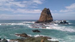 Revolusi Wisata Jember: Satu Tiket Murah untuk Dua Pantai Surga