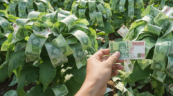 DBHCHT Kota Batu 2026 Terjun Bebas, Dipangkas Pusat Separuh Lebih DBHCHT Kota Batu 2026 Terjun Bebas, Dipangkas Pusat Separuh Lebih