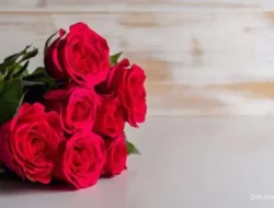 Kronologi Dua Polisi Gugur Tertabrak Truk Militer