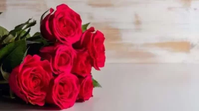 Kronologi Dua Polisi Gugur Tertabrak Truk Militer