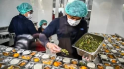 MBG Bakal Sasar 82,9 Juta Jiwa di Bulan Mei