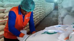 Bulog Siapkan 1 Juta Ton Beras untuk Ekspor, Pastikan Stok Nasional Aman