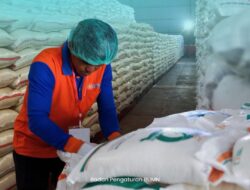 Bulog Siapkan 1 Juta Ton Beras untuk Ekspor, Pastikan Stok Nasional Aman