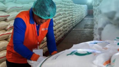 Bulog Siapkan 1 Juta Ton Beras untuk Ekspor, Pastikan Stok Nasional Aman