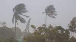 Siklon Tropis Luana Picu Angin Kencang di Jawa Timur