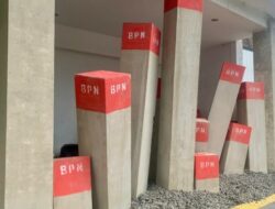 Beton vs Alam: Seniman Batu Menggugat Lewat Pameran Garis Hijau