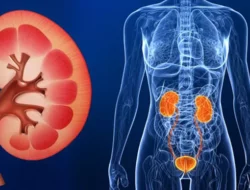 Cuci Darah: Benarkah Bisa Menyembuhkan Gagal Ginjal secara Total?