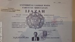 Salinan Ijazah Jokowi Dibuka, Publik Diminta Mengkaji secara Objektif
