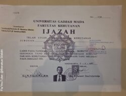 Salinan Ijazah Jokowi Dibuka, Publik Diminta Mengkaji secara Objektif