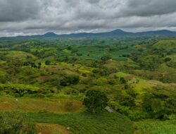 Tanah Dibiarkan Terlantar Terancam Diambil Negara, Ini Aturan Barunya