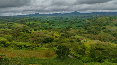 Tanah Dibiarkan Terlantar Terancam Diambil Negara, Ini Aturan Barunya