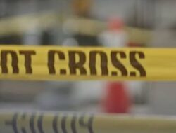 Kronologi Bocah WNI 6 Tahun Meninggal Ditabrak Mobil di Singapura