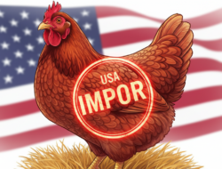 Impor 580 Ribu Indukan Ayam AS: DPRD Jatim Pasang Badan untuk Peternak