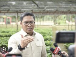 Masyarakat Diminta Laporkan Pedagang Pangan yang Jual di Atas HET