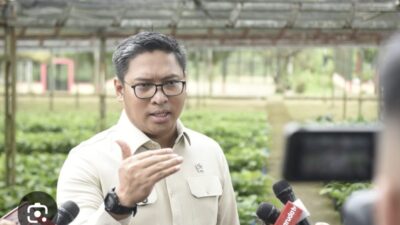 Masyarakat Diminta Laporkan Pedagang Pangan yang Jual di Atas HET