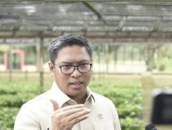Masyarakat Diminta Laporkan Pedagang Pangan yang Jual di Atas HET