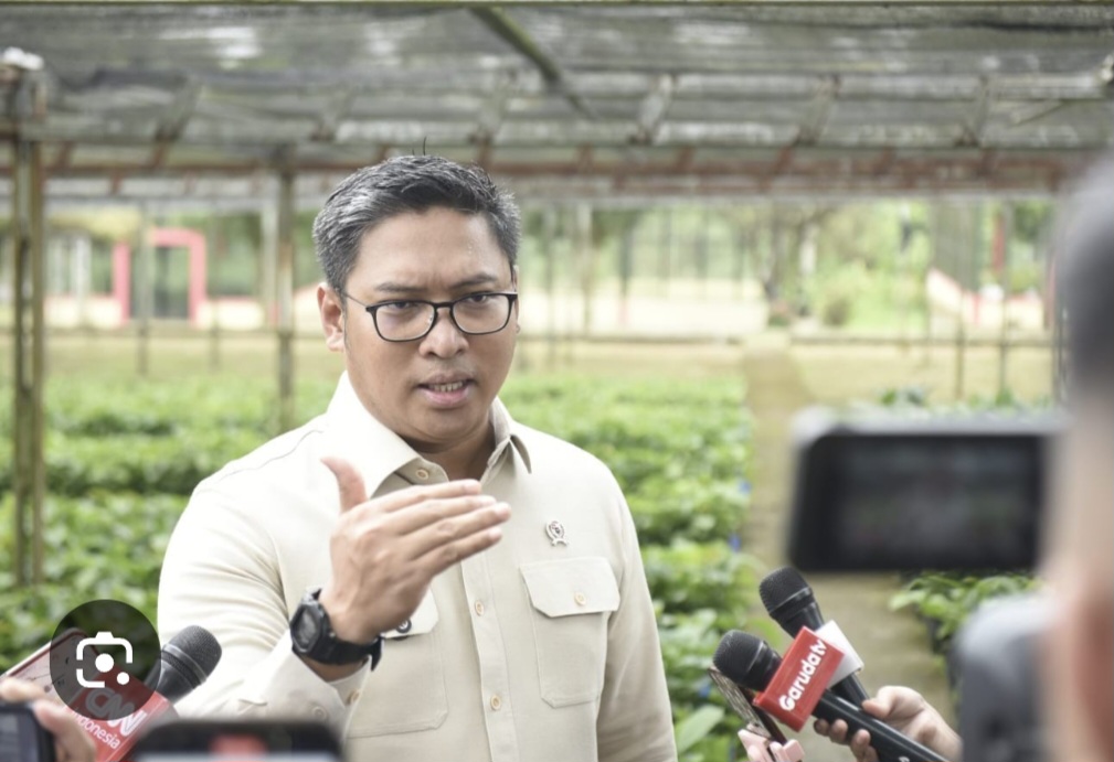 Masyarakat Diminta Laporkan Pedagang Pangan yang Jual di Atas HET